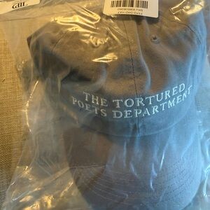 Taylor swift TTPD Gray Embroidered hat